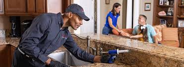 Best Commercial Pest Control  in Lyons, IL